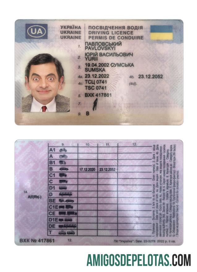 Carta de condução da Ucrânia 2022 presente exemplo